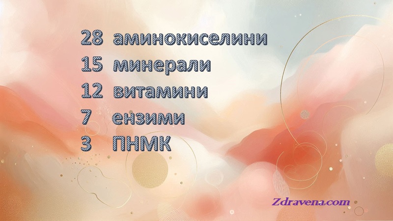 🌿Клетъчна храна – какво „яде“  клетката